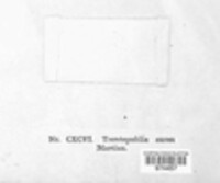 Image Associated With the Occurence